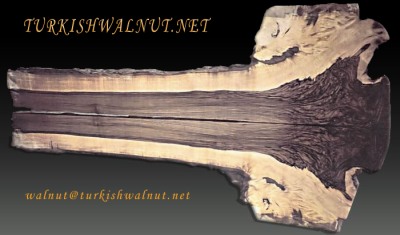 Turkish Walnut Wood Supplier